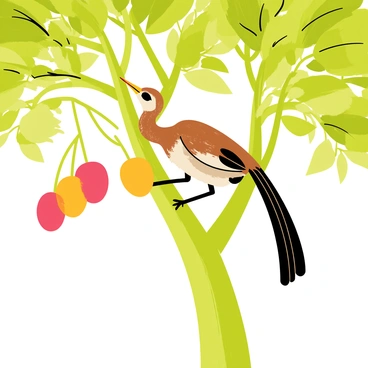 A lyrebird with a shimmering brown and white plumage is pecking at ripe, colorful fruits hanging from a lush green tree. The tree has thick branches adorned with glossy green leaves, and the fruits are in shades of red, orange, and yellow, creating a vibrant contrast against the greenery. The lyrebird is positioned on a sturdy branch, its long tail feathers trailing behind it, while its focused expression is directed towards a particularly juicy fruit. Sunlight filters through the leaves, casting dappled shadows on the scene.