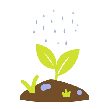 Germination