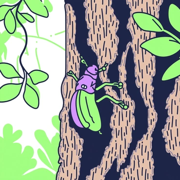 A beetle is positioned on the rough surface of a tree's bark. The beetle is small, with a shiny exoskeleton reflecting light. It is crawling into the narrow crevices and grooves of the bark, where the texture is rugged and detailed. The bark itself is mottled, featuring dark and light patches, with various irregularities and knots. Sunlight filters through the surrounding foliage, casting soft shadows on the beetle and highlighting the intricate patterns of the bark.