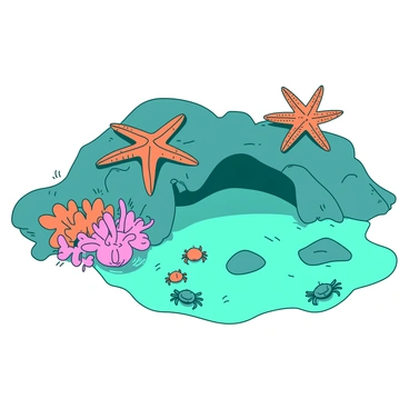 A teal tide pool is exposed at low tide, showcasing a variety of marine life. Bright orange starfish are scattered across the rocky edges of the pool, their textured arms spread out. Vibrant pink anemones are nestled among the rocks, their tentacles swaying gently in the water. Several small crabs scuttle along the sandy bottom, their shells glistening under the sunlight. The clear water reflects the colors of the tide pool, highlighting the intricate details of the creatures within.