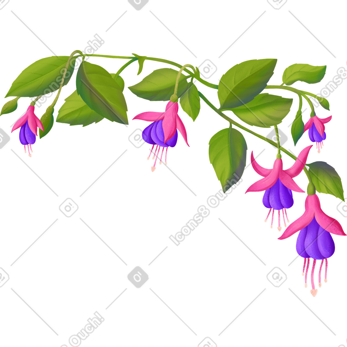 Disposizione di fiori fucsia su un ramo verde illustrazione in stile Floral scarica in PNG, SVG