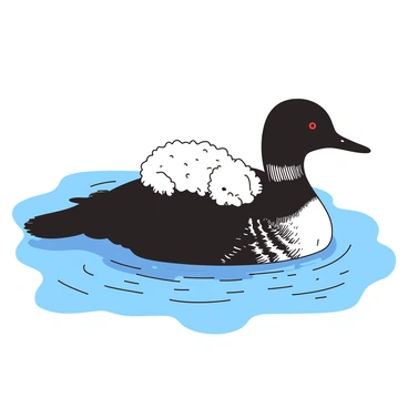 A fluffy young loon chick resting on a parent's back