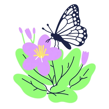 A butterfly with intricate wing patterns is gently landing on a blooming evening primrose in a garden. The flower has vibrant, broad petals that are slightly open, showcasing its delicate structure. Surrounding the flower are lush green leaves that add depth to the scene. In the background, more evening primrose plants can be seen, creating a harmonious garden setting. The butterfly's wings are partially spread, and its antennae are visible, emphasizing its delicate features.