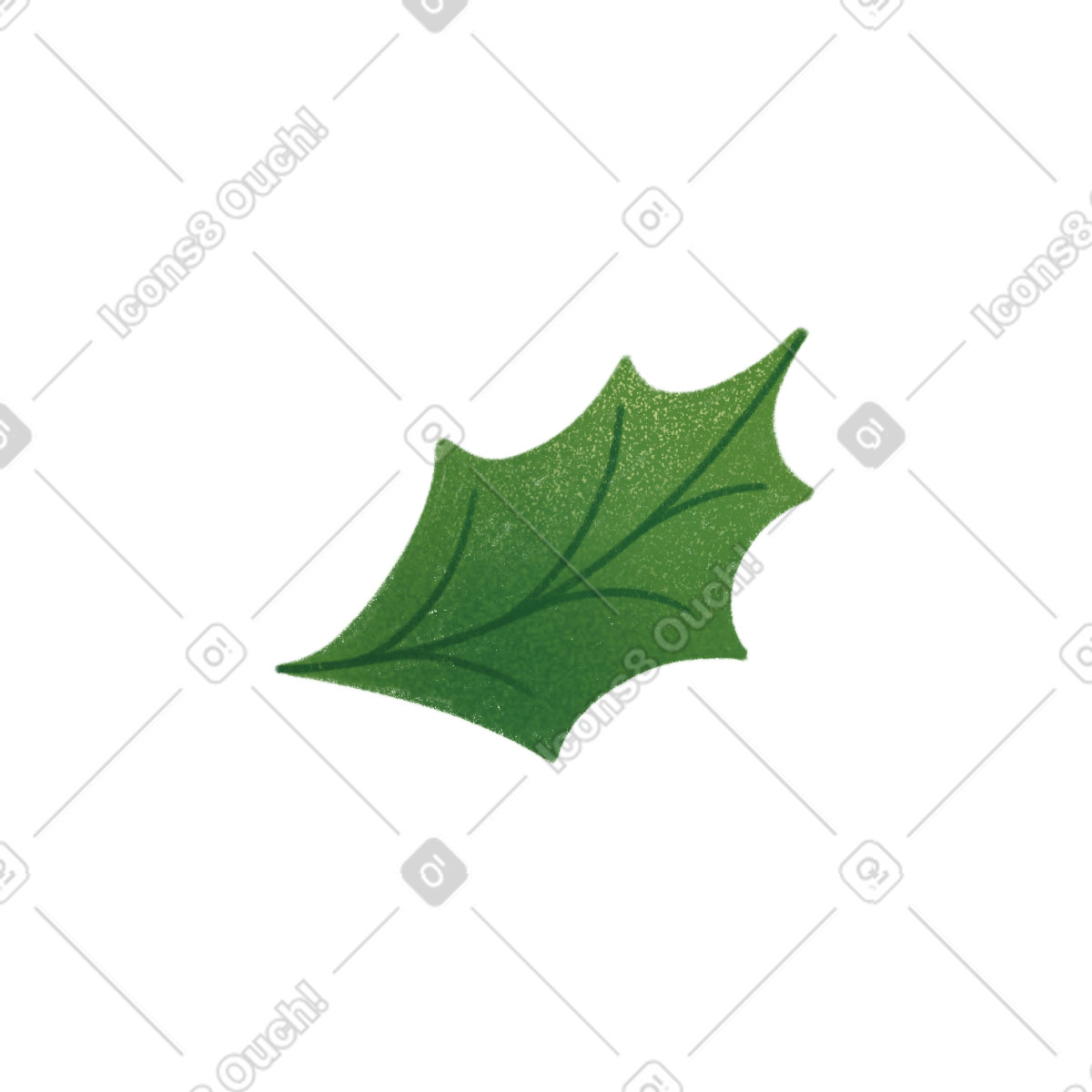Agrifoglio lascia illustrazione in stile Lettering scarica in PNG, SVG