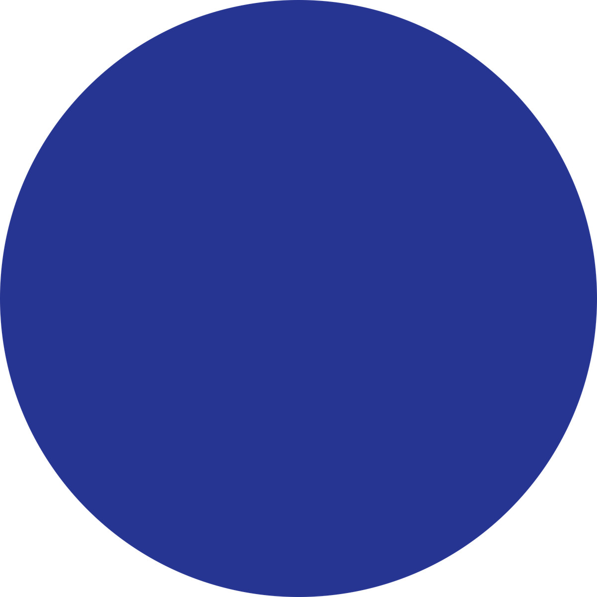 下载 Fogg 风格的 Circle dark blue 插画，支持 PNG、SVG 格式