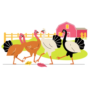 A group of colorful turkeys strutting proudly in a bright farmyard. The turkeys have vibrant feathers in shades of brown, white, and black, with iridescent hints of green. They are walking confidently, displaying their fan-like tails. In the background, there are wooden fences and patches of green grass, along with a red barn that adds to the farmyard setting. A few scattered autumn leaves are visible on the ground, complementing the scene.