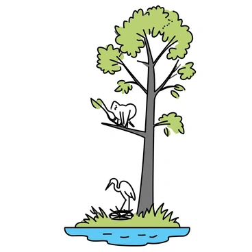 A pair of white egrets, standing gracefully on a sturdy branch of a tall tree. The egrets are focused on building their nest, using twigs and leaves. Below the tree, there is a calm body of water reflecting the clear sky. Surrounding the tree are lush green shrubs and grasses, indicating a vibrant habitat. The sunlight filters through the leaves, casting dappled shadows on the ground.