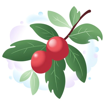 A detailed close-up of a coffee plant branch with ripe cherries and lush green leaves