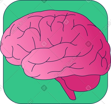 Brain clipart image in PNG, SVG, GIF formats