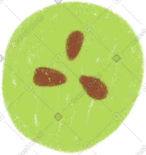 Grape half PNG, SVG