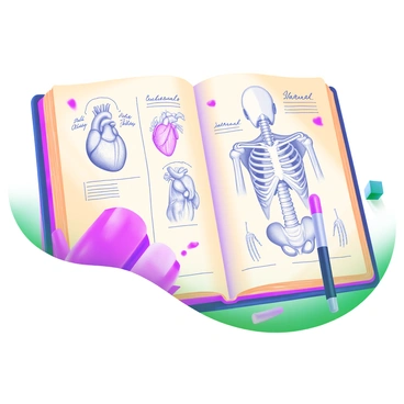 A close-up view of an old medical journal page featuring detailed hand-drawn anatomy sketches. The sketches depict various human anatomical structures such as the heart, skeleton, and muscles, all rendered in fine lines. The page has aged edges and visible yellowing, giving it a vintage appearance. There are handwritten notes and labels alongside the sketches, written in elegant cursive. Scattered ink stains can be seen, adding to the authenticity of the journal's aged look.