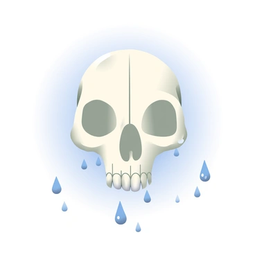 A dog skull is positioned prominently in the center of the image. The skull is white with intricate details, showcasing the bone structure. Raindrops are trickling down its surface, creating a glistening effect as they catch the light. The background is softly blurred, emphasizing the skull and the raindrops. Some of the droplets are larger, creating small splashes where they meet the skull, while others are delicately sliding down the contours of the bone. The overall scene conveys a sense of stillness amidst the rain.