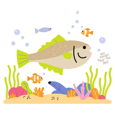 Halibut
