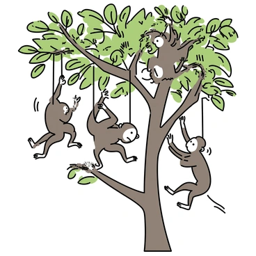 A group of capuchin monkeys, displaying their distinctive white faces and brown fur, are energetically swinging through the branches of a tall rainforest tree. The monkeys are in various playful poses, with some hanging upside down from the branches while others leap between the thick green leaves. Sunlight filters through the dense foliage, casting dappled light on the monkeys as they interact and play among the vibrant, lush foliage of the rainforest.