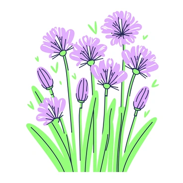 Agapanthus