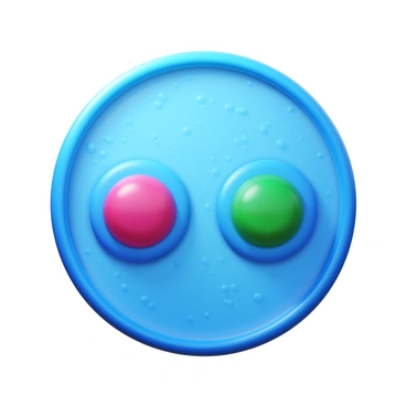 A close-up view of a cell during the process of division. The cell membrane is clearly defined, surrounding the cytoplasm. Two distinct nuclei are forming at opposite ends of the cell, each with a prominent nuclear membrane. The chromosomes are visible as they align, revealing a detailed structure. The cytoplasm has a slightly granular texture with organelles scattered throughout.