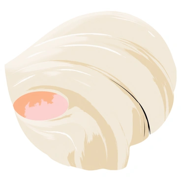 A close-up of a medallion carved from a single ornate shell. The medallion features intricate designs and patterns etched into the surface of the shell, showcasing swirls and curves. The colors of the shell range from creamy white to delicate shades of peach and pale pink. Light reflects off the polished surface, highlighting the fine details and giving the medallion a lustrous appearance. The background is softly blurred, emphasizing the medallion at the center of the image.
