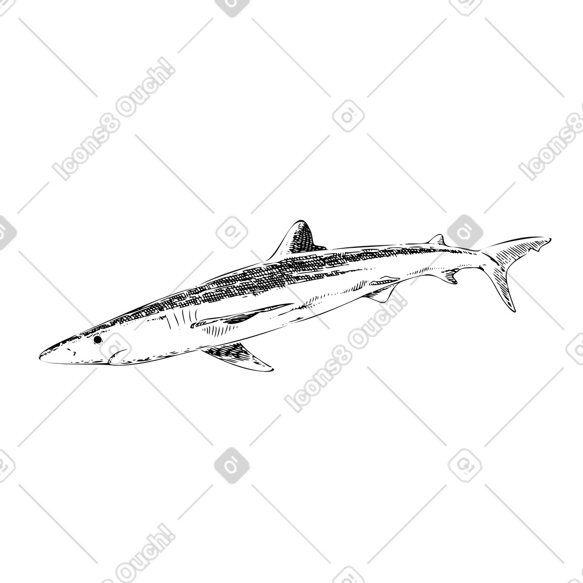Experimental スタイルの ヨシキリザメ のイラストをPNG、SVG形式でダウンロード