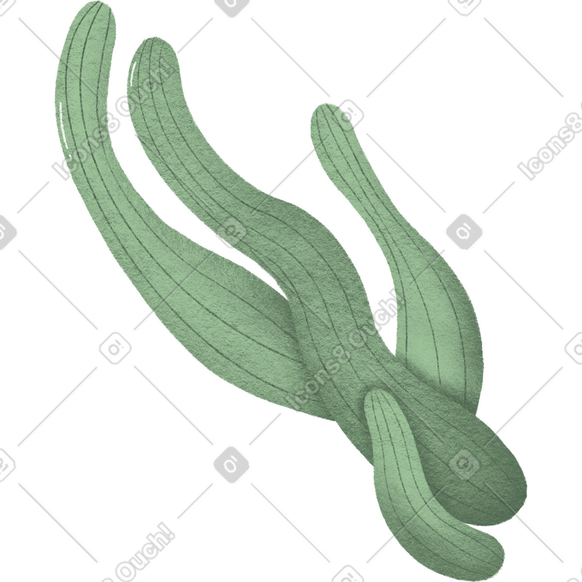 Ilustración Algas marinas en estilo Woolly a descargar en PNG y SVG