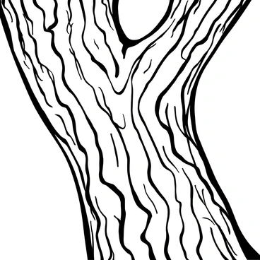 A close-up of a tree's bark with its rough texture and underlying grain