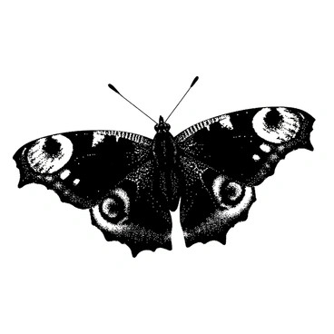 Black white