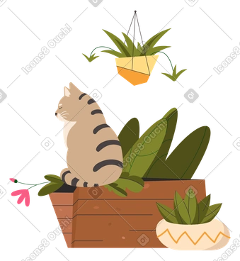Striped cat sits in a box and crumples plants PNG, SVG