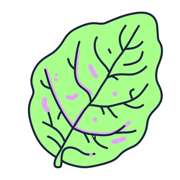 A close-up of a leaf displaying intricate veins that resemble the structure of human blood vessels. The leaf has a rich texture with defined outlines and a network of veins that branch out in a complex pattern. The veins appear prominent and are surrounded by the leaf's green surface, highlighting their resemblance to capillaries and arteries. The overall focus is on the detailed arrangement of the veins, emphasizing their similarity to biological structures.