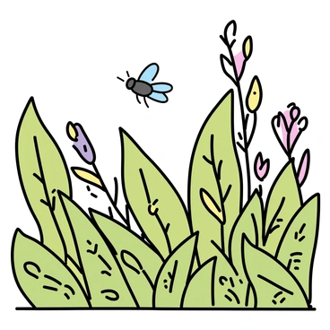 Drosophila