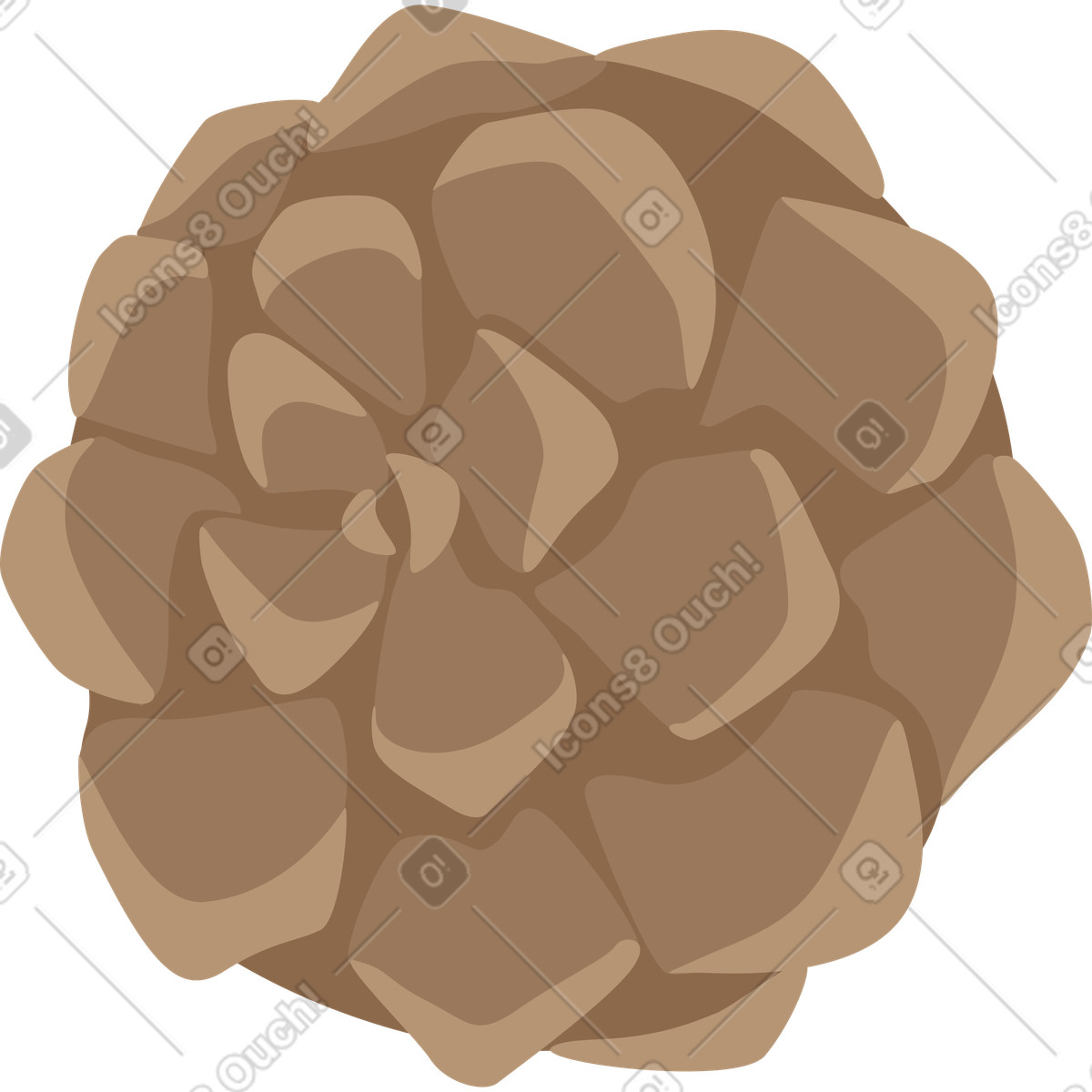 Pine cone illustration in Social style download in PNG, SVG