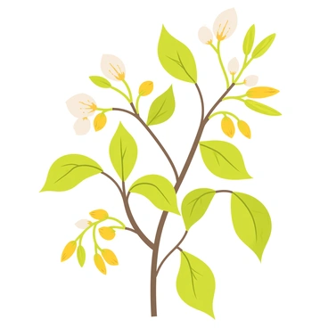 A classic botanical print showcasing the various stages of "honeysuckle" growth. The illustration includes a detailed representation of green leaves in different shapes and sizes. Various stages of flowers, from buds to fully opened blooms in shades of white and yellow, are arranged throughout the composition. The background features subtle, pale colors, allowing the vibrant honeysuckle elements to stand out, emphasizing the natural beauty of this plant.