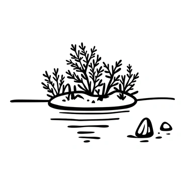 A small island situated in the center of a lake, surrounded by calm waters. The island is densely covered with wild elderberry shrubs, their intricate branches and leaves creating a lush, textured appearance. In the foreground, ripples in the water reflect the outline of the island, while a few scattered rocks emerge from the lake's surface nearby. The scene is devoid of human presence, emphasizing the natural beauty of the island and plants.