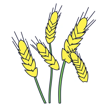 A close-up view of several wheat ears with golden grains. The ears have slender green stems and are gently bending to the left as if swaying in a light breeze. Each ear is detailed with individual spikelets, showcasing a rich texture. The background is blurred to emphasize the wheat ears in the foreground.