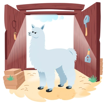 An alpaca with a thick, shaggy coat standing in a barn