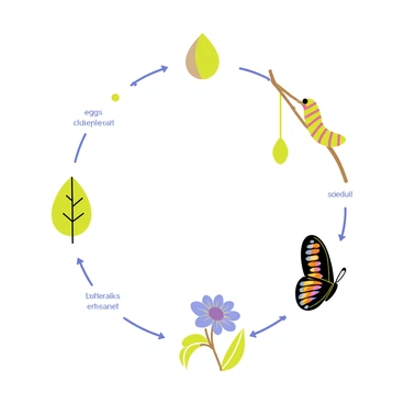 A scientific illustration depicting the life cycle of a butterfly. At the top, there is an "egg" attached to a green leaf. Below it, a "caterpillar" is shown on a branch, featuring the distinct stripes and patterns of its body. Next, there is a "chrysalis" hanging from a twig, showcasing its smooth, shiny surface. Finally, at the bottom, an "adult butterfly" with vibrant wings is perched on a flower, displaying intricate patterns in bright colors. Each stage is clearly labeled with the respective terms "egg," "caterpillar," "chrysalis," and "adult butterfly."