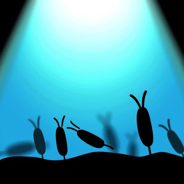 A group of tiny krill is silhouetted in the foreground, showcasing their distinct, elongated bodies and antennae. Behind them, a glowing underwater backdrop radiates shades of blue and green, creating a luminous atmosphere. The light appears to emanate from above, casting a soft glow that highlights the edges of the krill. The arrangement of the krill varies, some closer to the viewer and others further away, enhancing the sense of depth in the scene.