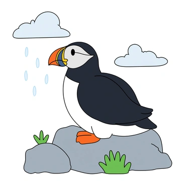 Puffin