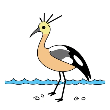 A hoopoe exploring the sandy shore, with gentle waves lapping at its feet.