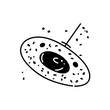 A detailed view of a cell during the G1 phase, displaying its structure with a clear cell membrane. The membrane has various openings and channels, illustrating the process of nutrient absorption. Surrounding the cell are small nutrient particles, represented as tiny shapes moving towards the cell membrane. The cytoplasm inside the cell is partially visible, showcasing organelles such as the nucleus and mitochondria. The overall composition emphasizes the dynamic interaction between the cell and its environment.