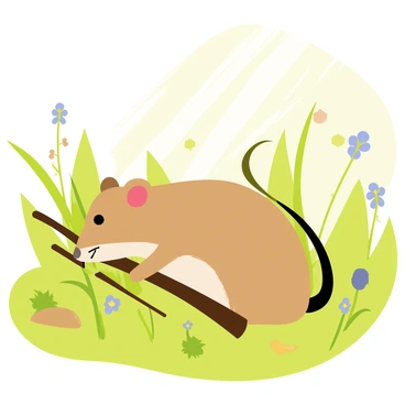 A small shrew with a pointed snout and tiny eyes is curiously examining a twig. The shrew is nestled among green grass and scattered leaves in its natural habitat. Sunlight filters through the foliage above, creating a dappled light effect on the ground. The twig has small twigs and bits of moss clinging to it, while the background features blurred hints of wildflowers and more greenery. The shrew's fur is a soft brown, blending into the earthy tones of the environment.