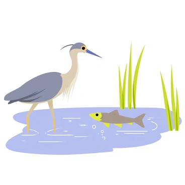 A heron with long legs and a slender neck is standing in a clear, flowing river. The bird has grayish-blue feathers, sharp beak, and intense eyes focused on a nearby trout swimming just beneath the water's surface. The water around the heron ripples gently, reflecting the sunlight. Green reeds grow along the riverbank, creating a natural frame for this scene. Small bubbles rise from the trout as it moves, adding a sense of life to the calm environment.