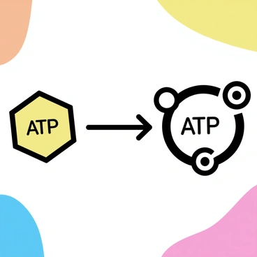 A diagram illustrating the process of "ATP" being generated from "glucose". The glucose molecule is represented as a hexagonal structure at the left side of the image. Arrows indicate the metabolic pathway leading to ATP formation. On the right side, a simplified representation of "ATP" is shown, depicted as a larger, circular structure with three phosphate groups attached. The background features bright colors to create an engaging visual experience.