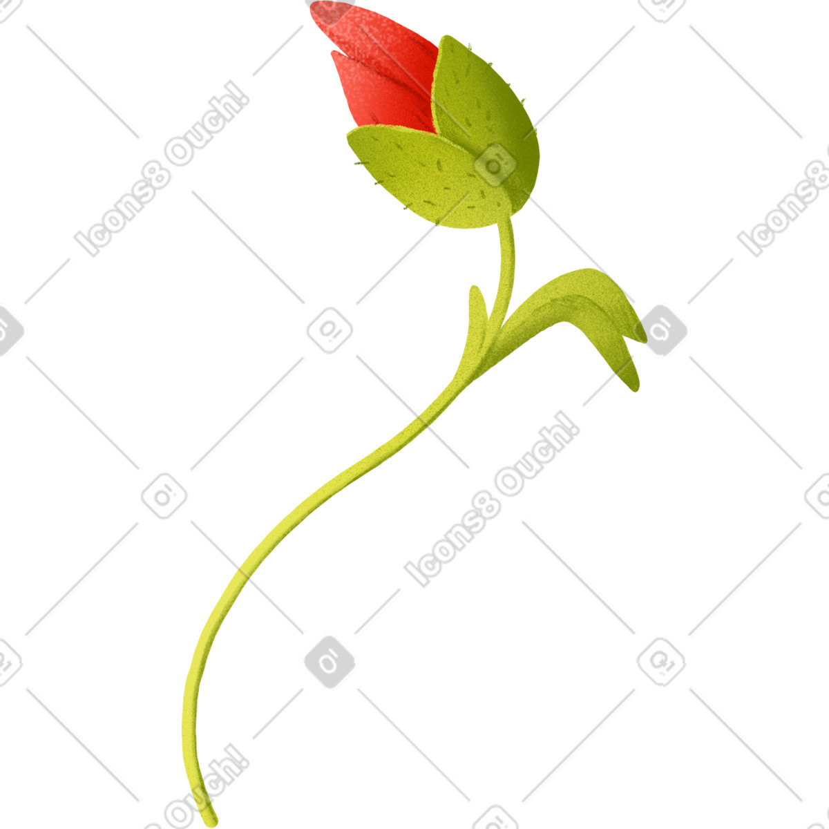 Poppy bud with leaf illustration in Floral style download in PNG, SVG