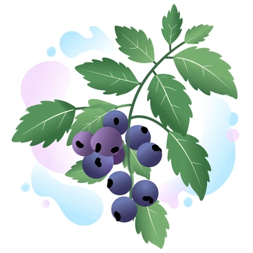 A portrait of an elderberry plant showcasing the intricate details of each berry and leaf. The plant features clusters of ripe, dark purple berries with a glossy finish, surrounded by rich green leaves with serrated edges. Each leaf displays a prominent vein pattern, adding to the overall texture. The background is a soft gradient of pastel colors that complements the hues of the berries and leaves, creating a harmonious composition.