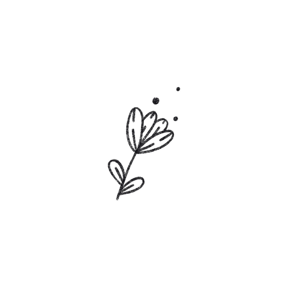 Bonbon Line スタイルの 花 のイラストをPNG、SVG形式でダウンロード