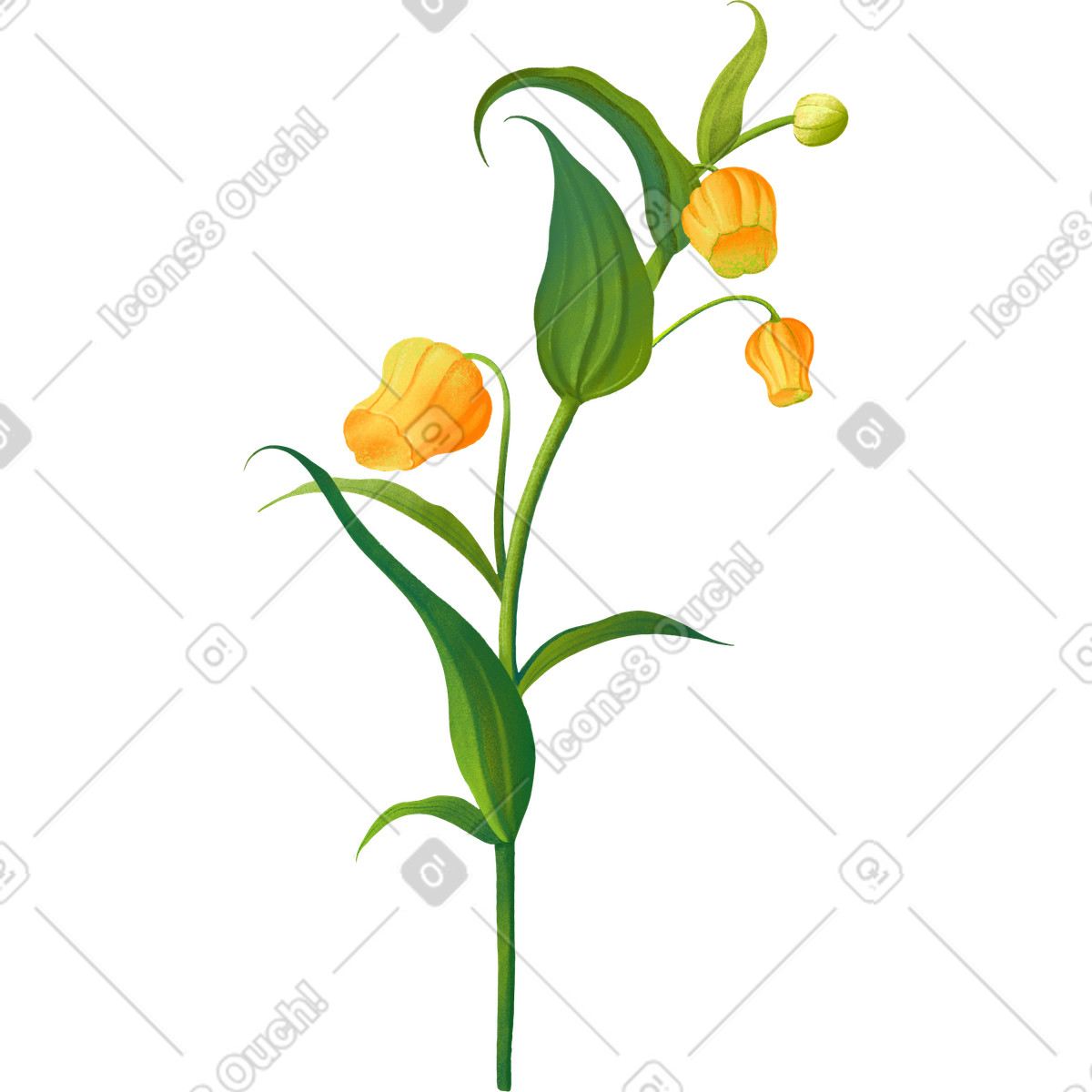 Ilustración Orange sandersonia en estilo Floral a descargar en PNG y SVG