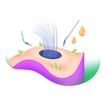 A modern pastel illustration depicting a detailed hair follicle at the center, with fine strands emerging from it. Surrounding the hair follicle are several sebaceous glands, which appear as small lobular structures. These glands are actively producing droplets of sebum, illustrated as shiny, glossy beads, emerging from their openings. The background features a soft, pastel gradient to enhance the focus on the hair follicle and sebaceous glands, creating a clear visual representation of the structures.