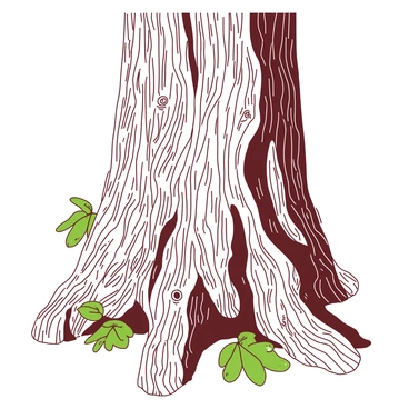 A duotone illustration of a tree's bark using intricate hatching techniques. The bark has a rich texture with deep grooves and knots, showcasing the natural patterns of the wood. The hatching creates contrast and depth, highlighting the curves and roughness of the surface. Surrounding the tree, there are hints of green foliage that add an organic feel to the image.