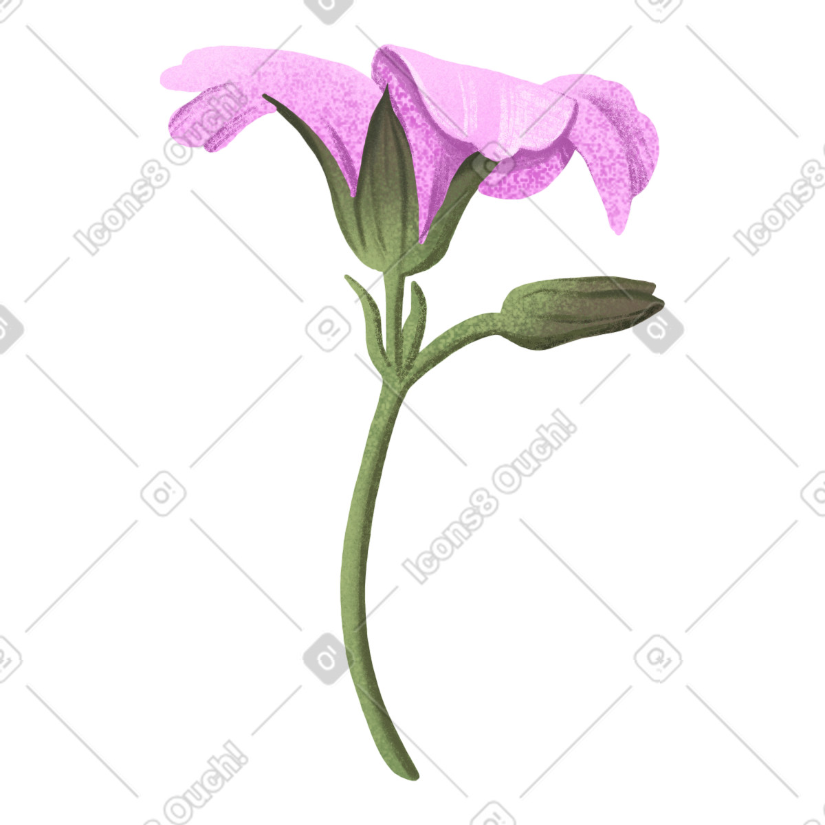 Ilustração de Flor rosa aberta em no estilo Floral para baixar em PNG, SVG