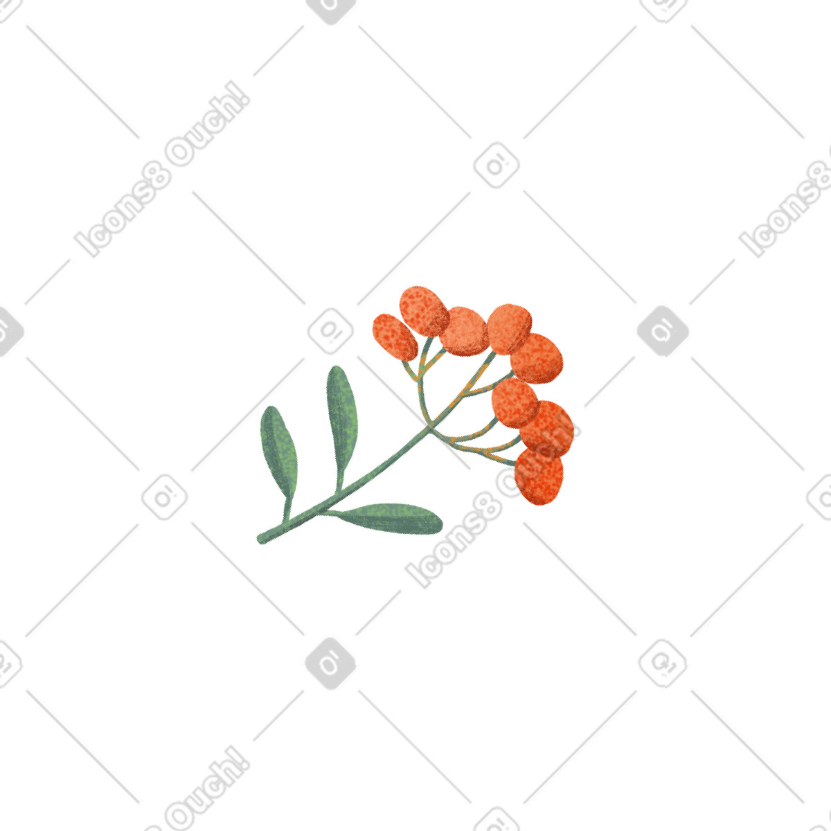 Ilustración Sprig of viburnum en estilo Floral a descargar en PNG y SVG