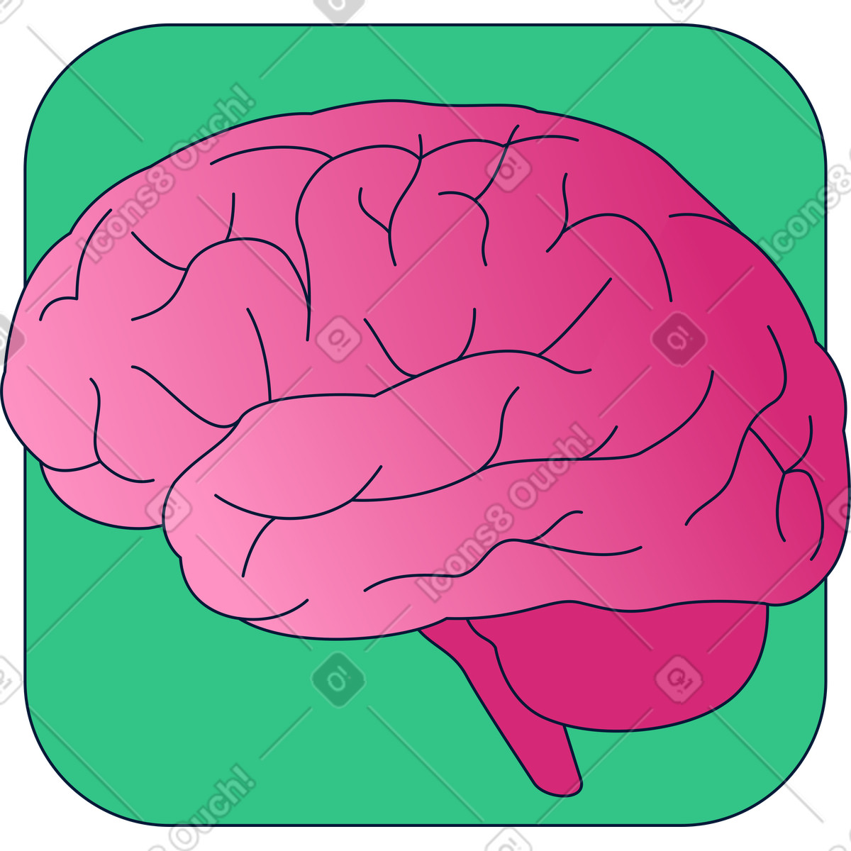 Brain icon illustration educational clipart image in PNG for knowledge themes